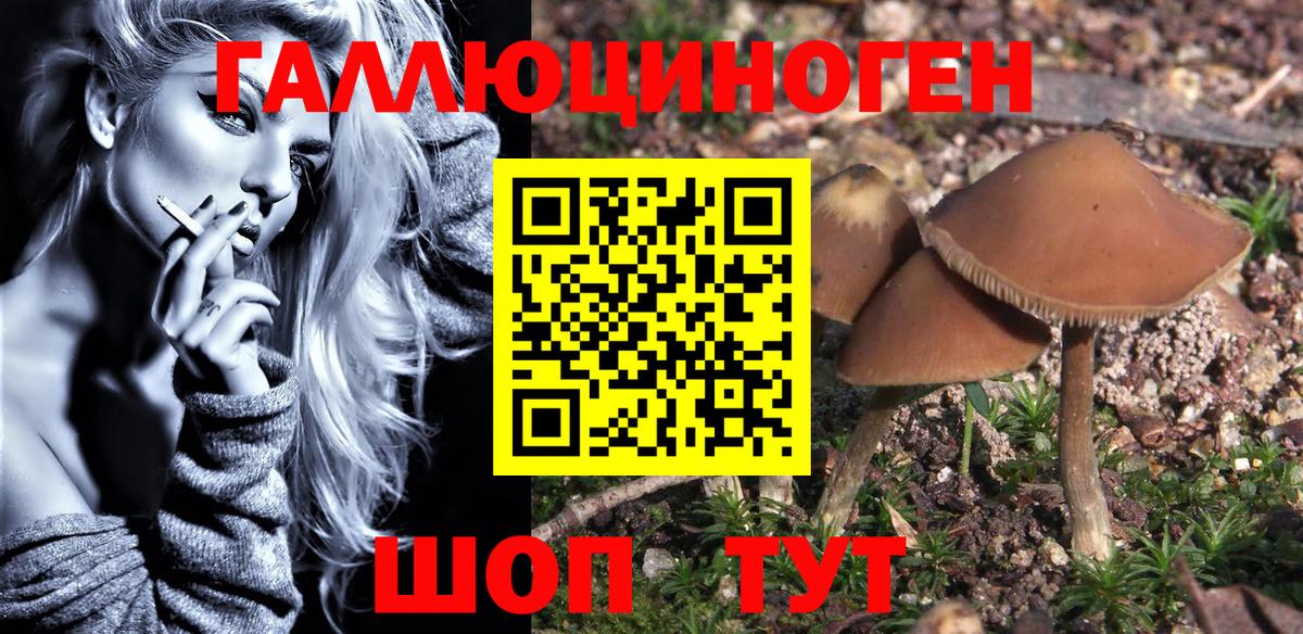 Галлюциногенные грибы Psilocybe  Вход с VPN  Галлюциногенные грибы Cubensis  Белово 