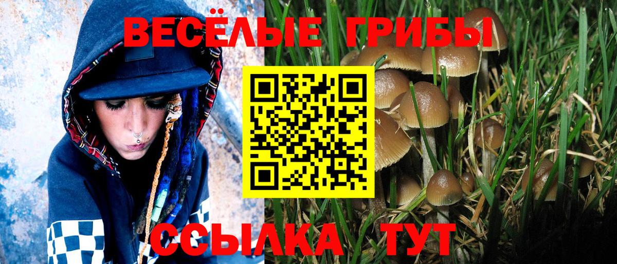 Псилоцибиновые грибы GOLDEN TEACHER Белово